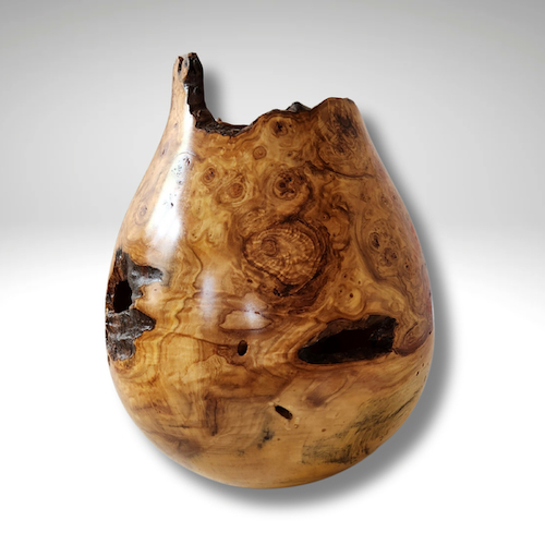 Click to view detail for JW-240 Aspen Burl Hollow Woodturning 10x8 $650